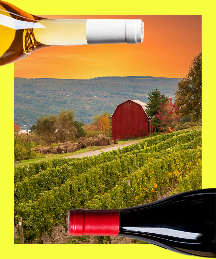 6 Other White Wines From The Finger Lakes Finger Lakes Wine Alliance   Good Wines Finger Lakes Card 